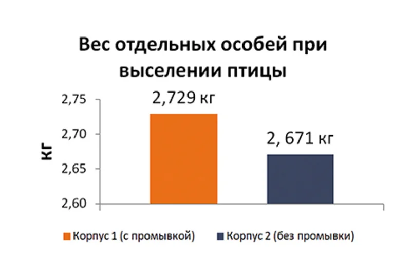 Содержание птицы: "внутренняя суть" биопленки Содержание птицы: "внутренняя суть" биопленки