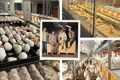 Die Familie Claessens-Jenniskens entwickelte in ihrem Eggsperience Center ein neues Konzept für die Legehennenhaltung – innovative Ideen, generationsübergreifend umgesetzt. Vier Mitglieder der Familie Claessens-Jenniskens stehen nebeneinander