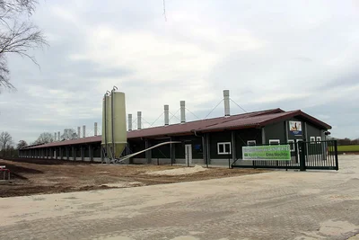 Barn for pullet rearing Barn for pullet rearing