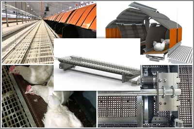 Technology in the nest: the integrated scale determines the hens’ weight automatically every time they visit the nest. Collage