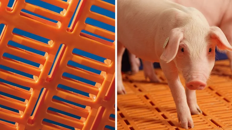 Plastic slat (photos from the brochure) Plastic slat (photos from the brochure)