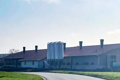 New building for organic broiler production New building for organic broiler production