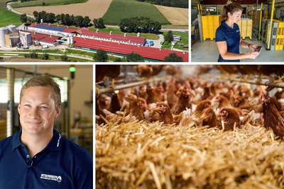 Bienestar animal, tecnología y tradición – la granja Sterrer
